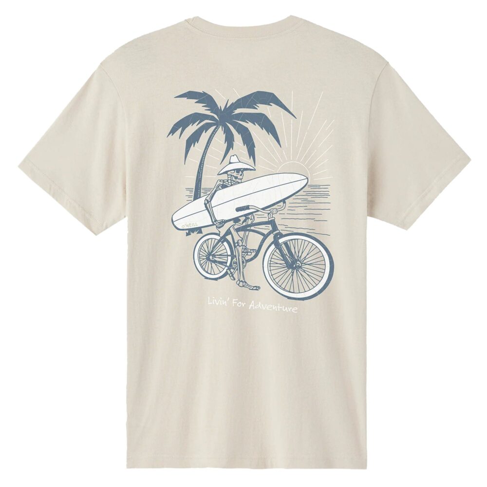 O'Neill Beachcomber Standard Men's S/S T-Shirt - Khaki